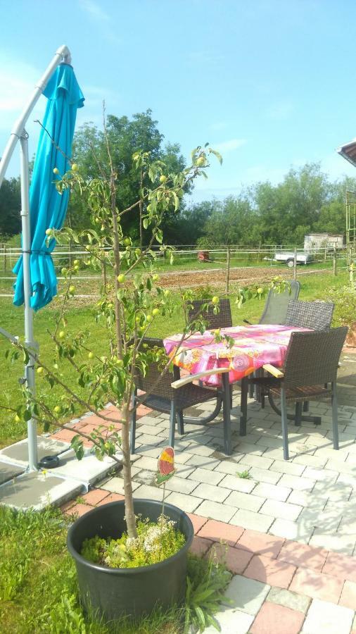 Am Verlorenen Bach Apartment *